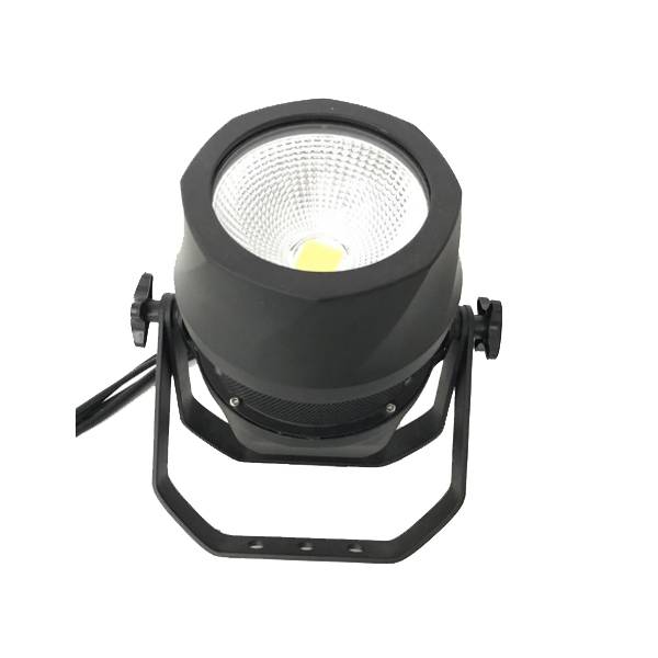 200W LED Outdoor COB Par IP65