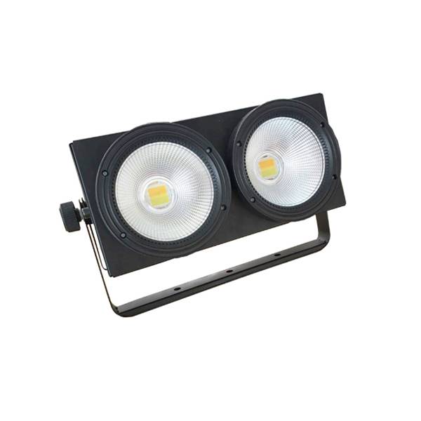 Two Eyes 2x100W LED COB Par Light